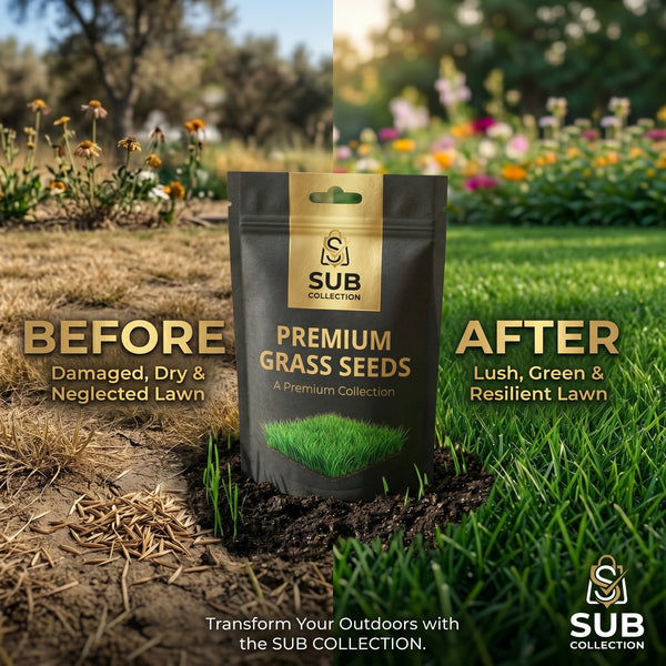 Premium Lawn Grass Seeds 1-3 Marla