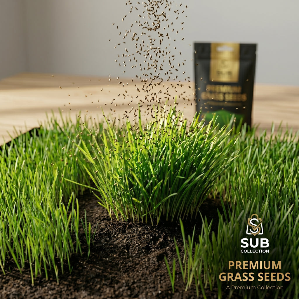 Premium Lawn Grass Seeds 1-3 Marla