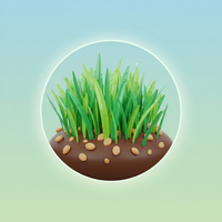 Grass Seed